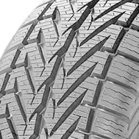 Preis Gesenkt Winterreifen Vredestein Wintrac Xtreme (225/55 R16 95H)