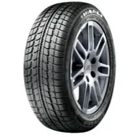 Günstig Winterreifen Wanli Snow Grip S1083 (195/65 R14 89T)